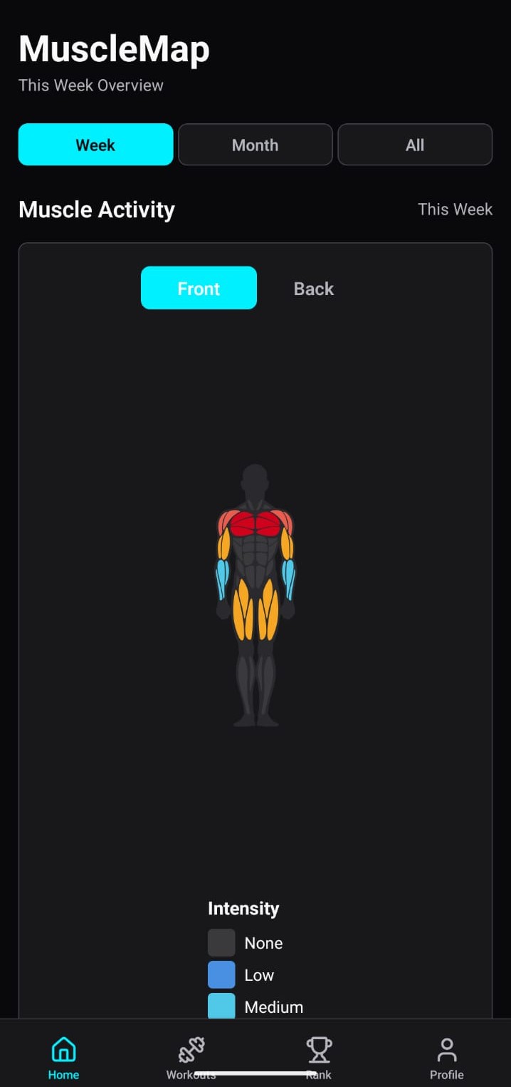 MuscleMap Workout Tracker Dashboard